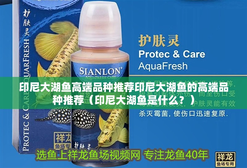 印尼大湖魚高端品種推薦印尼大湖魚的高端品種推薦（印尼大湖魚是什么？）