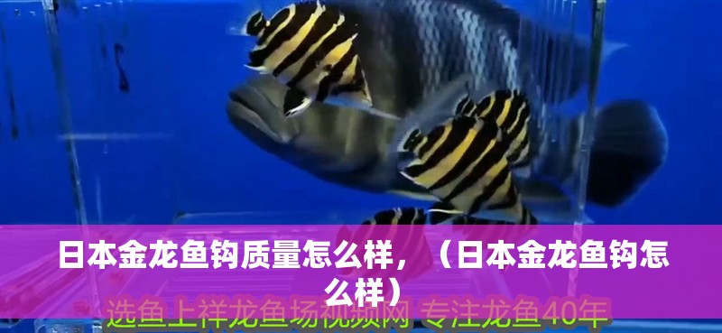 日本金龍魚鉤質量怎么樣，（日本金龍魚鉤怎么樣）