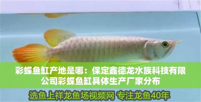 彩蝶魚缸產地是哪：<strong><mark>保定</mark></strong>鑫德龍水族科技有限公司彩蝶魚缸具體生產廠家分布