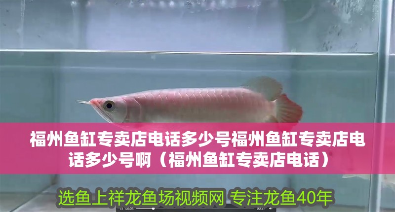 福州魚(yú)缸專賣(mài)店電話多少號(hào)福州魚(yú)缸專賣(mài)店電話多少號(hào)啊（福州魚(yú)缸專賣(mài)店電話）