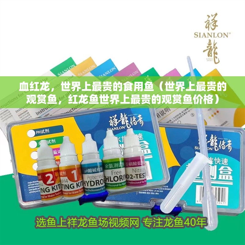 血紅龍，世界上最貴的食用魚（世界上最貴的觀賞魚，紅龍魚世界上最貴的觀賞魚價格）