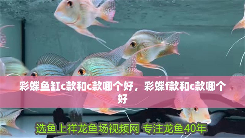 彩蝶魚缸c款和c款哪個好，彩蝶f款和c款哪個好