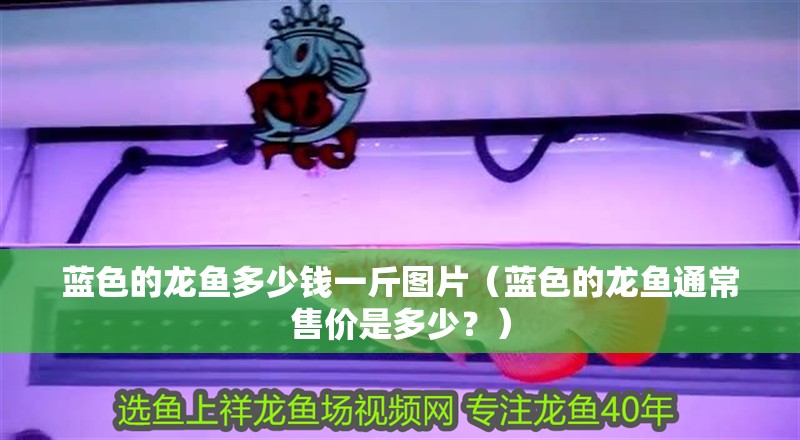 藍色的龍魚多少錢一斤圖片（藍色的龍魚通常售價是多少？）