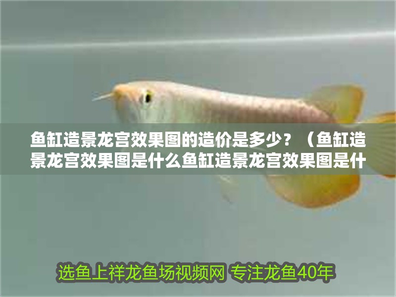 魚缸造景龍宮效果圖的造價是多少？（魚缸造景龍宮效果圖是什么魚缸造景龍宮效果圖是什么）