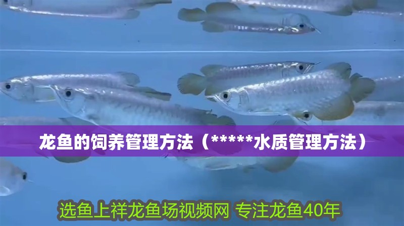 龍魚的飼養管理方法（*****水質管理方法）