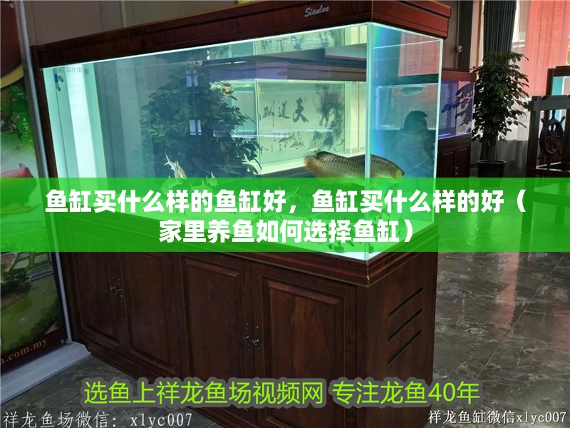 魚缸買什么樣的魚缸好，魚缸買什么樣的好（家里養魚如何選擇魚缸）
