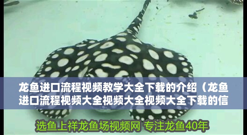 龍魚進(jìn)口流程視頻教學(xué)大全下載的介紹（龍魚進(jìn)口流程視頻大全視頻大全視頻大全下載的信息別忘了在本站）