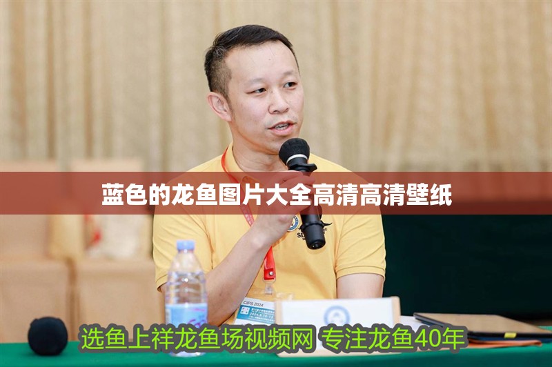 藍(lán)色的龍魚圖片大全高清高清壁紙