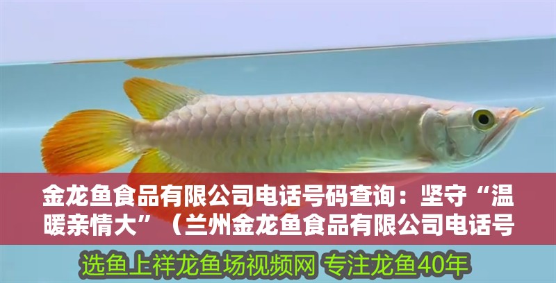 金龍魚食品有限公司電話號碼查詢：堅守“溫暖親情大”（蘭州金龍魚食品有限公司電話號碼查詢）