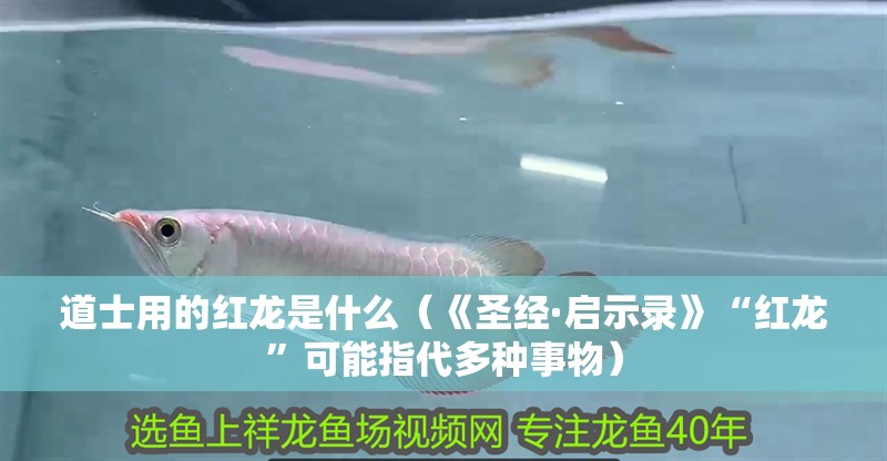 道士用的紅龍是什么（《圣經·啟示錄》“紅龍”可能指代多種事物）