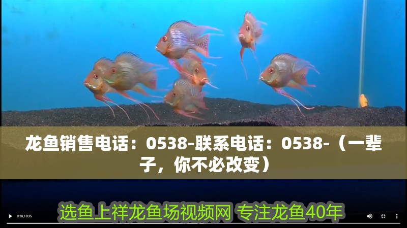 龍魚銷售電話：0538-聯系電話：0538-（一輩子，你不必改變）