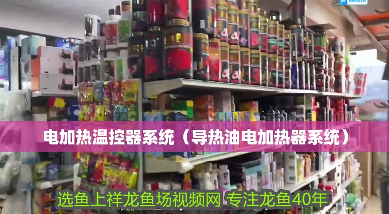 電加熱溫控器系統（導熱油電加熱器系統）