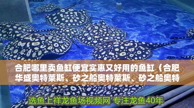 合肥哪里賣魚缸便宜實惠又好用的魚缸（合肥華盛奧特萊斯、砂之船奧特萊斯、砂之船奧特萊斯）
