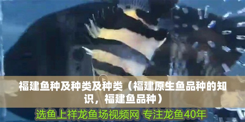 福建魚種及種類及種類（福建原生魚品種的知識，福建魚品種）