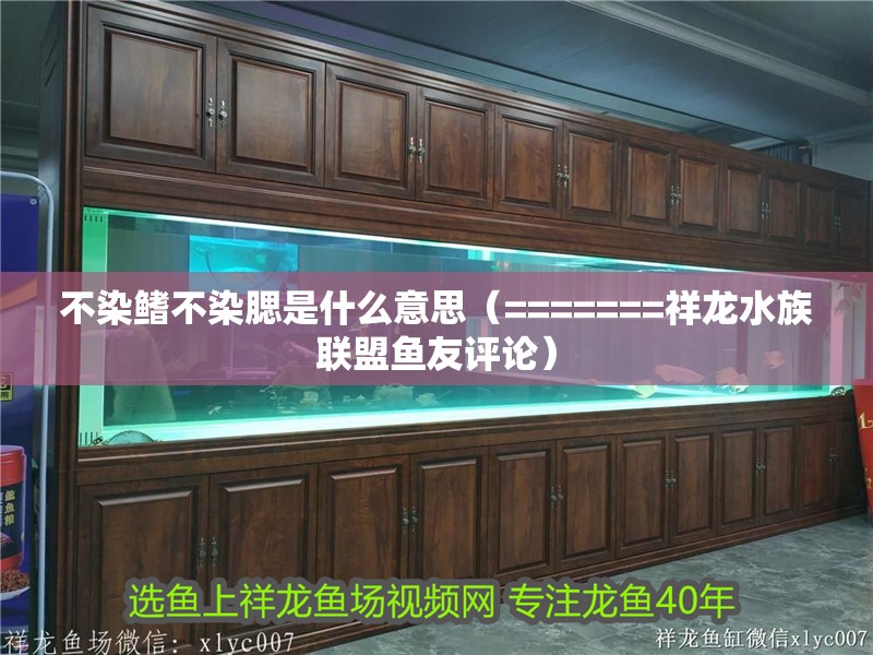 不染鰭不染腮是什么意思（=======祥龍水族聯盟魚友評論）