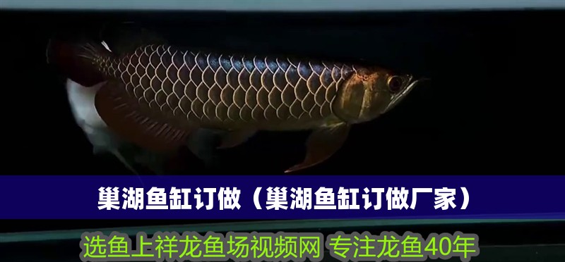 巢湖魚缸訂做（巢湖魚缸訂做廠家）