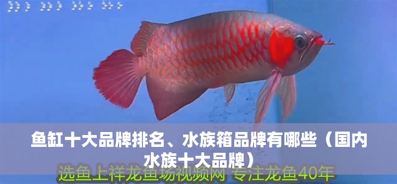 魚(yú)缸十大品牌排名、水族箱品牌有哪些（國(guó)內(nèi)水族十大品牌）