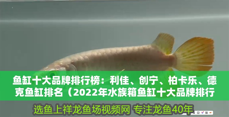 魚缸十大品牌排行榜：利佳、創寧、柏卡樂、德克魚缸排名（2022年水族箱魚缸十大品牌排行榜，德克魚缸品牌排行榜）