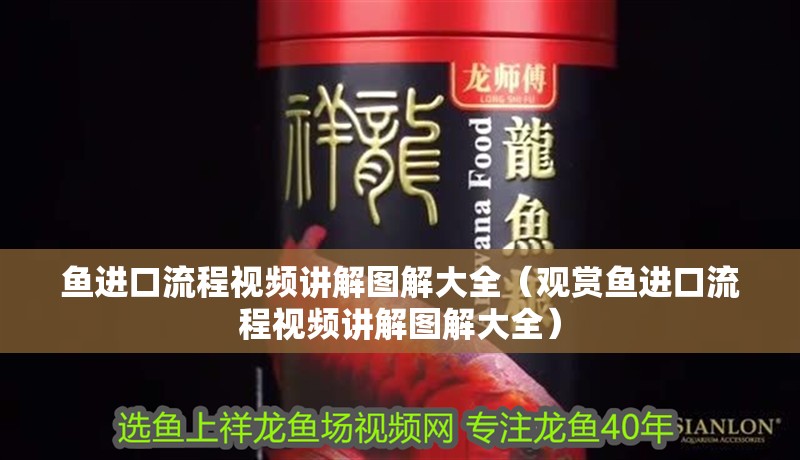魚進口流程視頻講解圖解大全（觀賞魚進口流程視頻講解圖解大全）