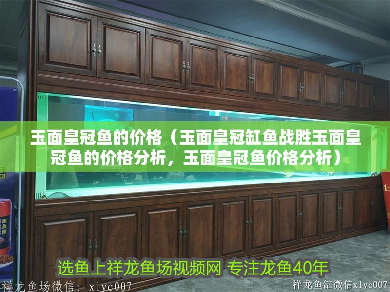 玉面皇冠魚的價格（玉面皇冠缸魚戰勝玉面皇冠魚的價格分析，玉面皇冠魚價格分析）