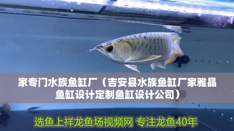家專門水族魚缸廠（吉安縣水族魚缸廠家雅晶魚缸設計定制魚缸設計公司）