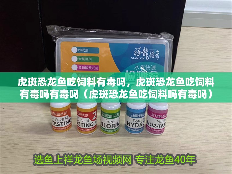 虎斑恐龍魚吃飼料有毒嗎，虎斑恐龍魚吃飼料有毒嗎有毒嗎（虎斑恐龍魚吃飼料嗎有毒嗎）
