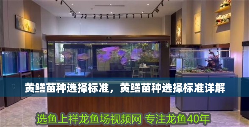 黃鱔苗種選擇標準，黃鱔苗種選擇標準詳解