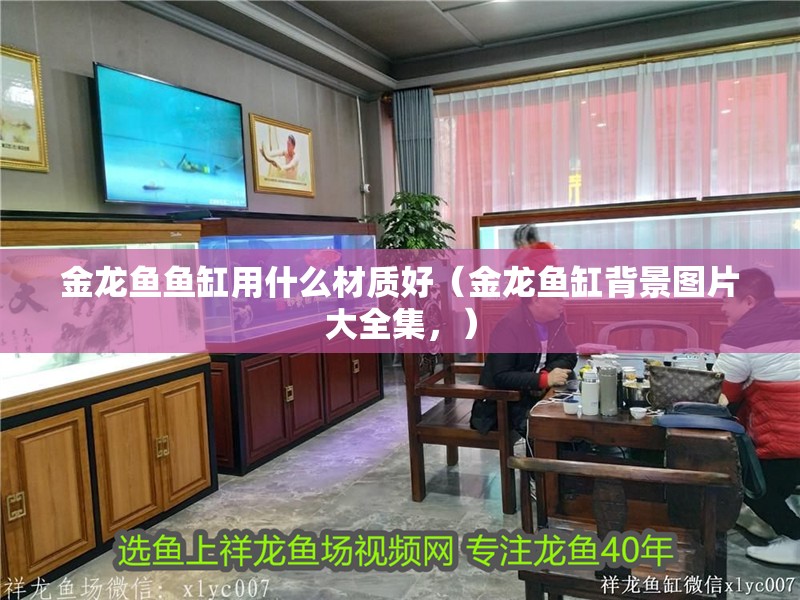 金龍魚魚缸用什么材質好（金龍魚缸背景圖片大全集，）
