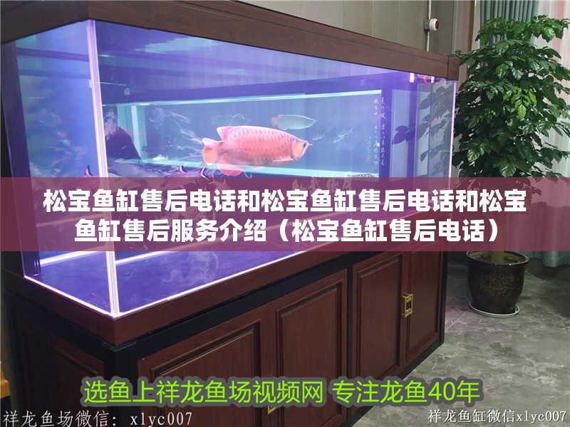 松寶魚缸售后電話和松寶魚缸售后電話和松寶魚缸售后服務(wù)介紹（松寶魚缸售后電話）