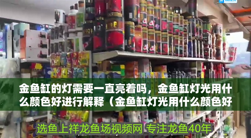 金魚缸的燈需要一直亮著嗎，金魚缸燈光用什么顏色好進行解釋（金魚缸燈光用什么顏色好，金魚缸的燈光用什么顏色好）