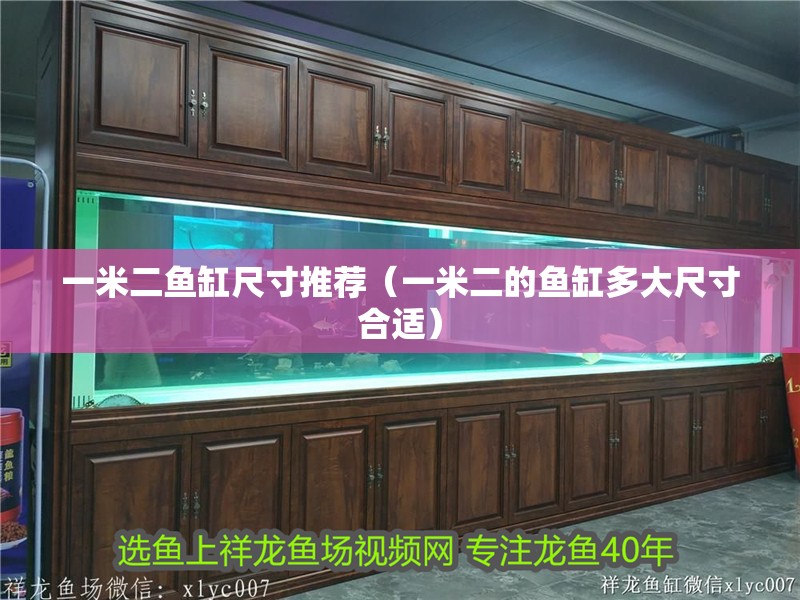 一米二魚缸尺寸推薦（一米二的魚缸多大尺寸合適）