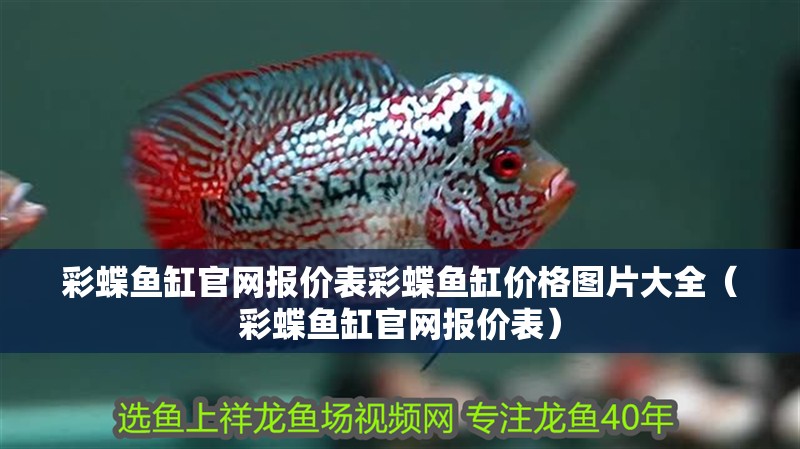 彩蝶魚缸官網報價表彩蝶魚缸價格圖片大全（彩蝶魚缸官網報價表）