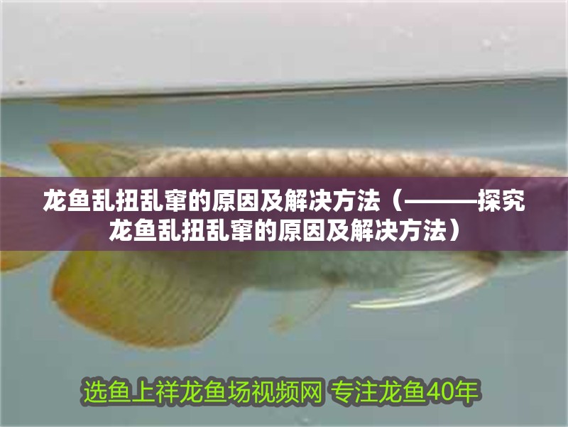 龍魚(yú)亂扭亂竄的原因及解決方法（———探究龍魚(yú)亂扭亂竄的原因及解決方法）