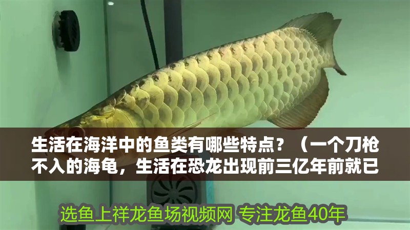 生活在海洋中的魚類有哪些特點？（一個刀槍不入的海龜，生活在恐龍出現前三億年前就已經存在地球上）