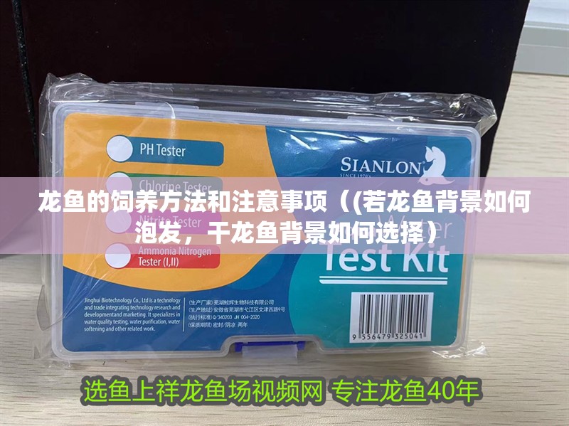 龍魚的飼養(yǎng)方法和注意事項(xiàng)（(若龍魚背景如何泡發(fā)，干龍魚背景如何選擇）