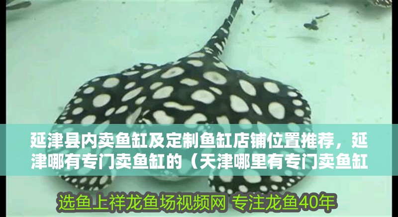延津縣內賣魚缸及定制魚缸店鋪位置推薦，延津哪有專門賣魚缸的（天津哪里有專門賣魚缸的地方？）