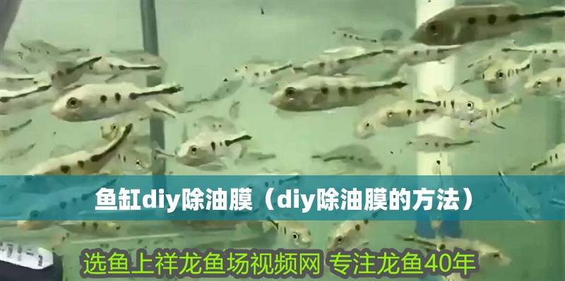 魚缸diy除油膜（diy除油膜的方法）