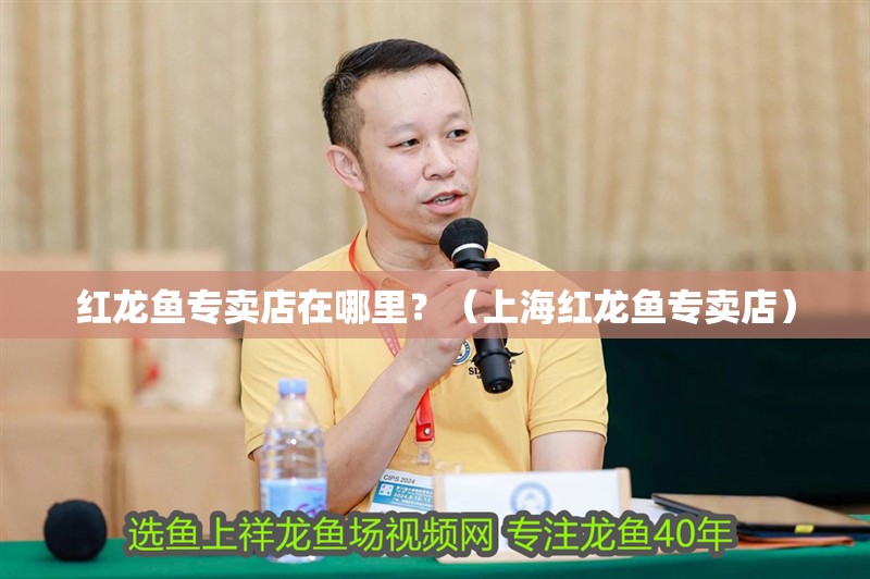 紅龍魚專賣店在哪里？（<strong><mark>上海</mark></strong>紅龍魚專賣店）