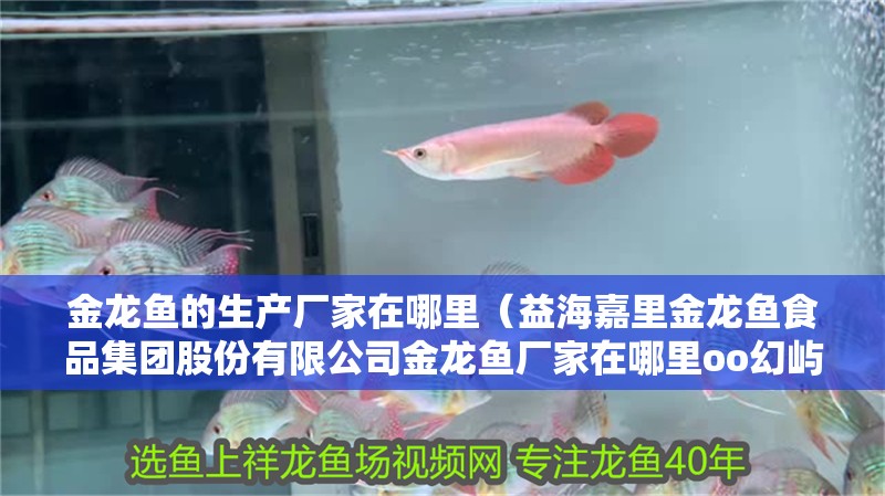 金龍魚的生產廠家在哪里（益海嘉里金龍魚食品集團股份有限公司金龍魚廠家在哪里oo幻嶼攻略）