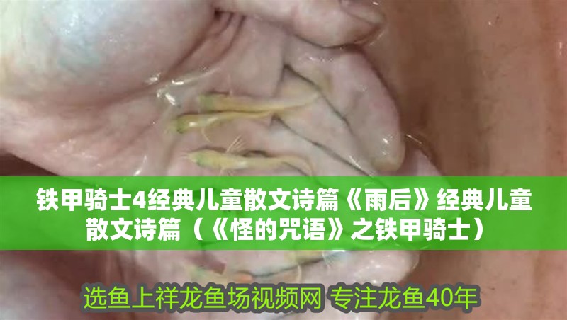 鐵甲騎士4經典兒童散文詩篇《雨后》經典兒童散文詩篇（《怪的咒語》之鐵甲騎士）