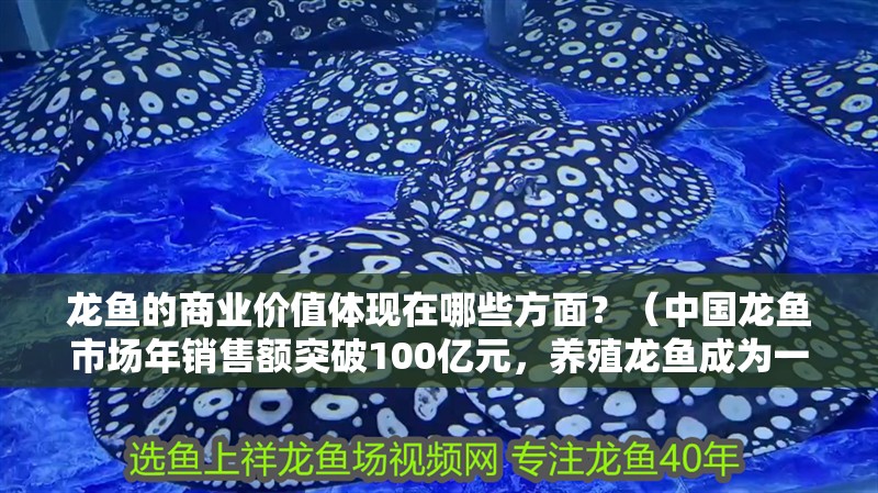 龍魚(yú)的商業(yè)價(jià)值體現(xiàn)在哪些方面？（中國(guó)龍魚(yú)市場(chǎng)年銷(xiāo)售額突破100億元，養(yǎng)殖龍魚(yú)成為一種掙錢(qián)方式）