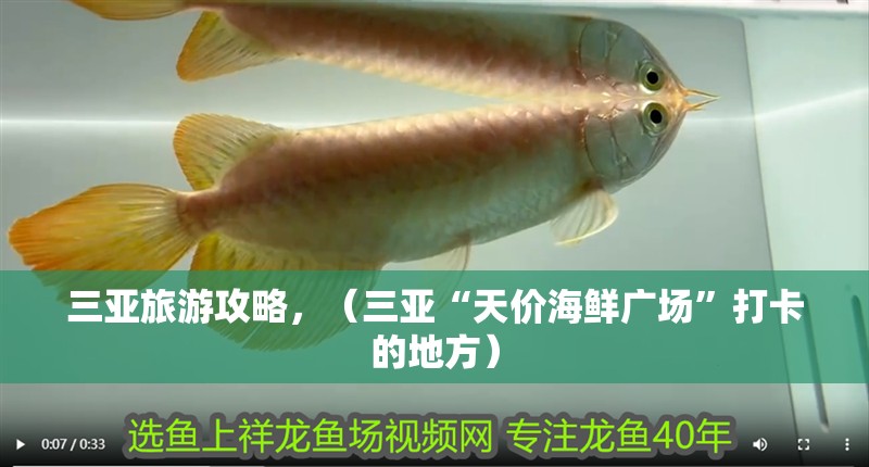 三亞旅游攻略，（三亞“天價海鮮廣場”打卡的地方）