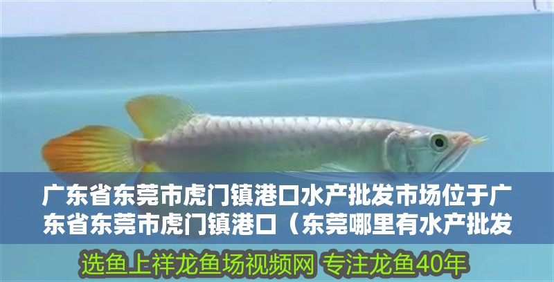廣東省東莞市虎門鎮<strong><mark>港口</mark></strong>水產批發市場位于廣東省東莞市虎門鎮<strong><mark>港口</mark></strong>（東莞哪里有水產批發市場？）