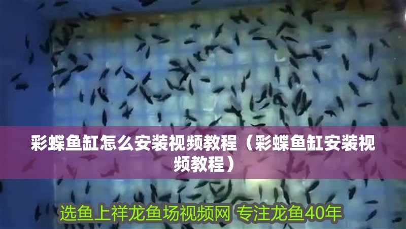 彩蝶魚缸怎么安裝視頻教程(彩蝶魚缸安裝視頻教程)