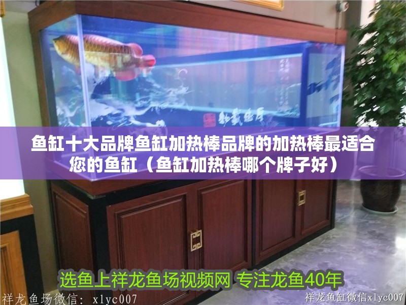 魚缸十大品牌魚缸加熱棒品牌的加熱棒最適合您的魚缸（魚缸加熱棒哪個牌子好）
