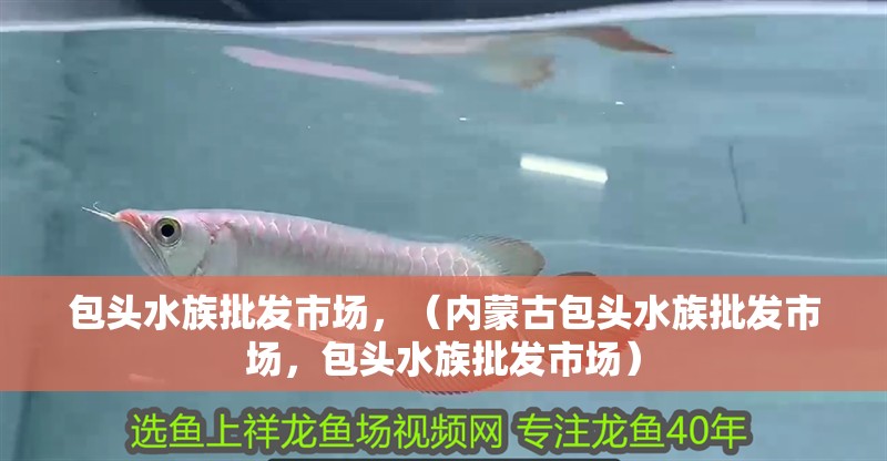 包頭水族批發市場，（內蒙古包頭水族批發市場，包頭水族批發市場）