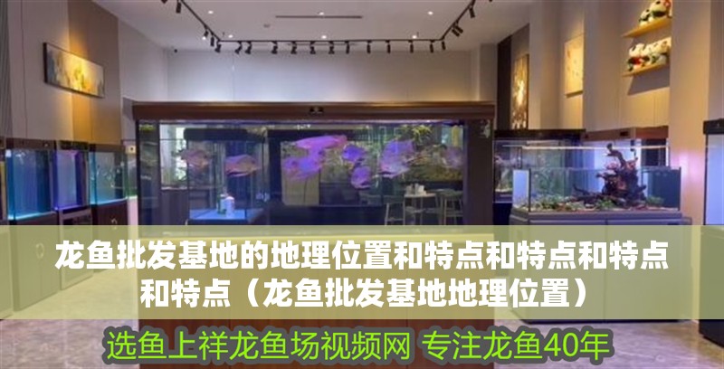 龍魚批發(fā)基地的地理位置和特點(diǎn)和特點(diǎn)和特點(diǎn)和特點(diǎn)（龍魚批發(fā)基地地理位置）