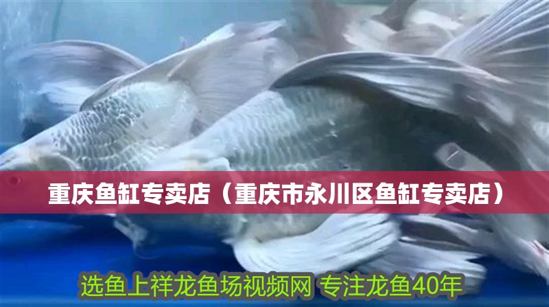 重慶魚缸專賣店（重慶市永川區魚缸專賣店）
