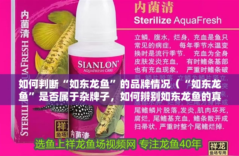如何判斷“如東龍魚”的品牌情況（“如東龍魚”是否屬于雜牌子，如何辨別如東龍魚的真偽）