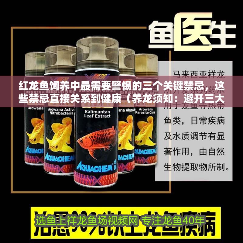 紅龍魚飼養(yǎng)中最需要警惕的三個(gè)關(guān)鍵禁忌，這些禁忌直接關(guān)系到健康（養(yǎng)龍須知：避開三大禁忌，實(shí)現(xiàn)輕松養(yǎng)龍魚）